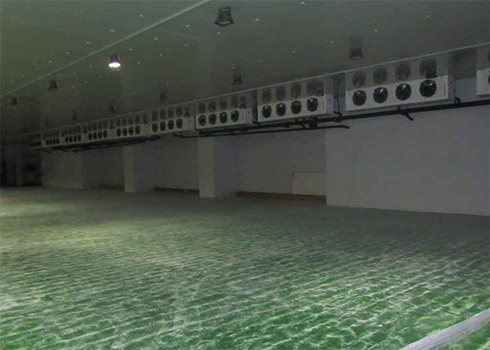 物流低温冷藏库建造安装 物流低温冷藏库建造安装