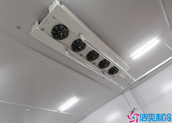 光纤测温与香蕉视频官网网站测温