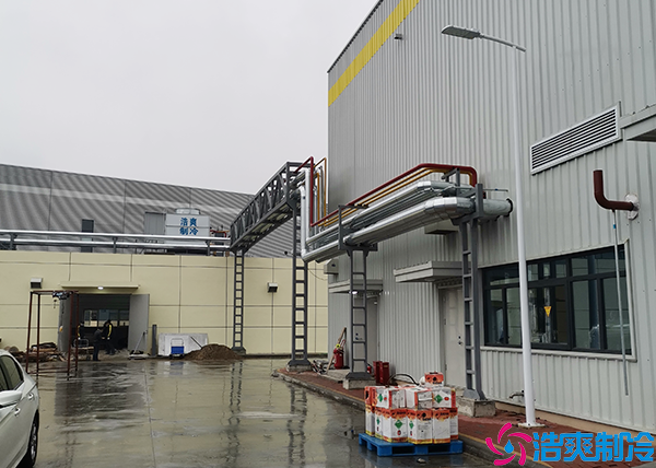 食堂香蕉视频官网网站