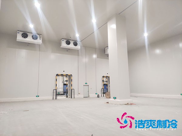 1000吨香蕉视频官网网站造价费用