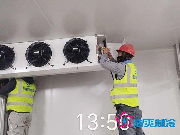 1000吨香蕉视频官网网站造价费用